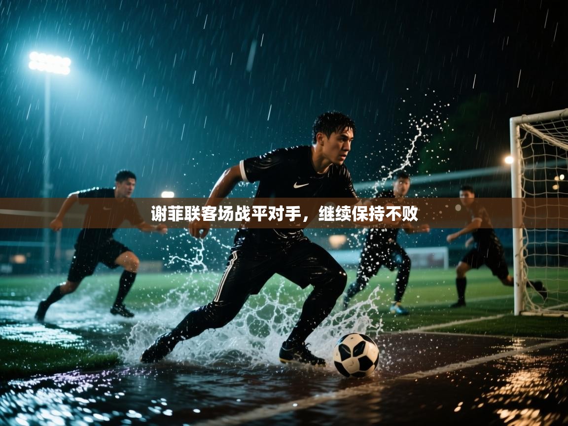 谢菲联客场战平对手,继续保持不败 第1张