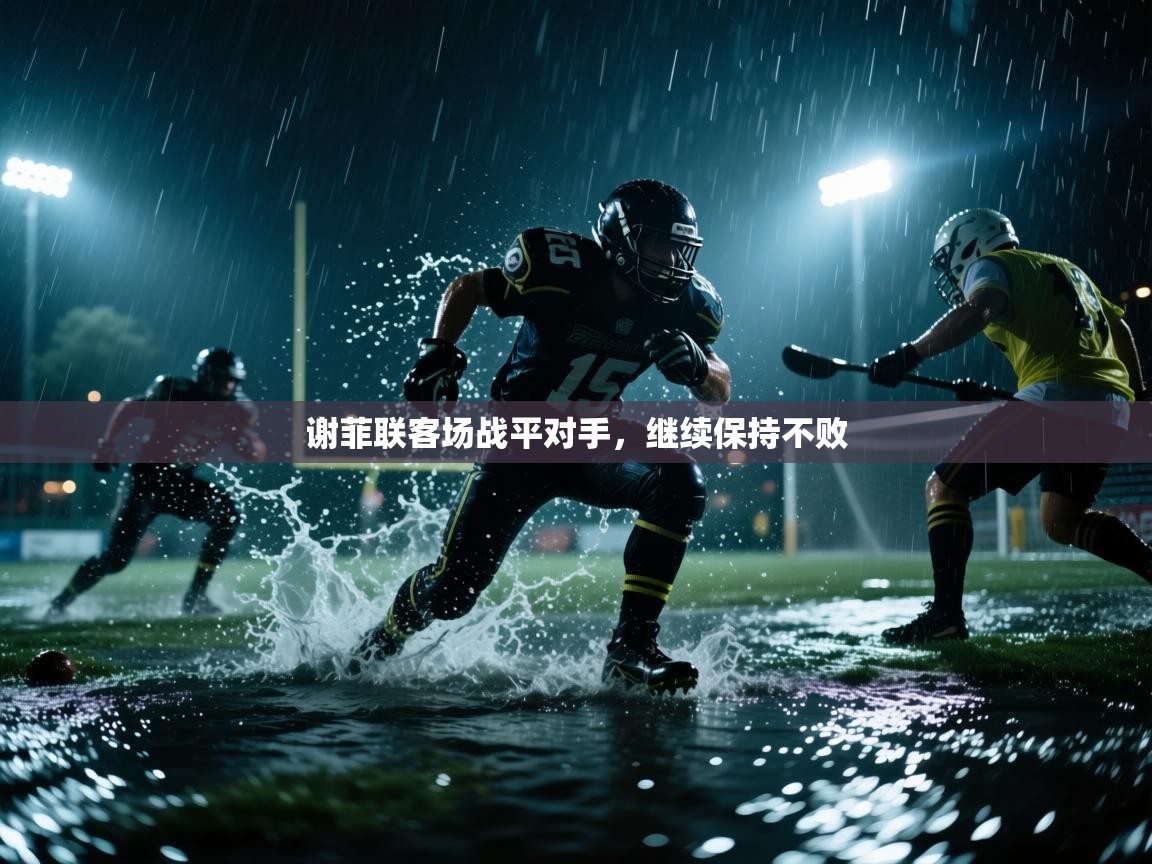 谢菲联客场战平对手,继续保持不败 第2张